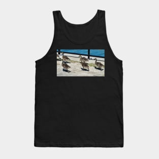 A Family Of Canada Goose Goslings Tank Top